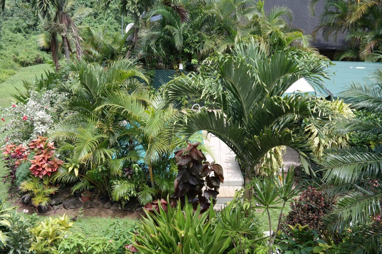 Muri Retreat Apartments Rarotonga Buitenkant foto