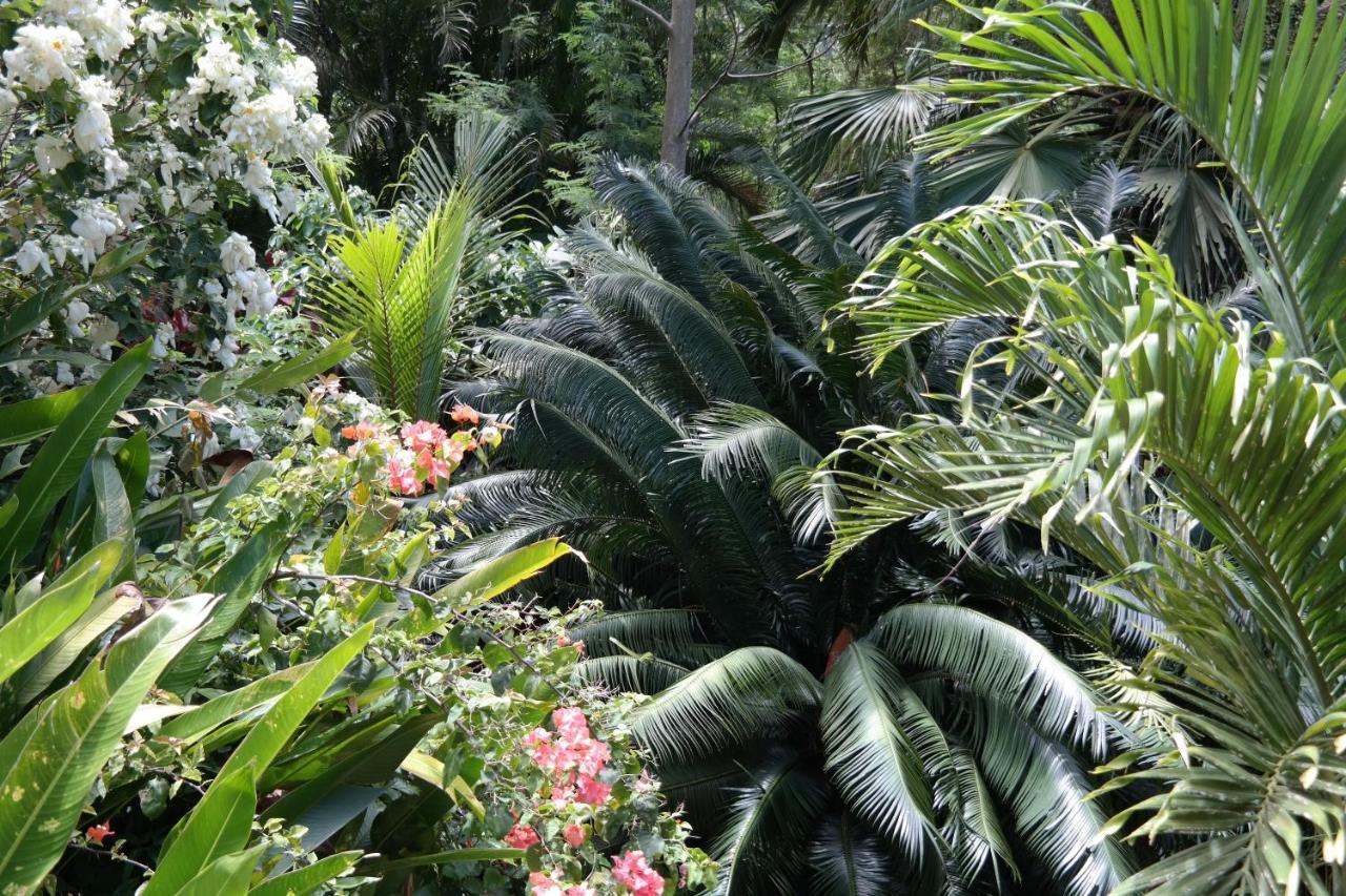 Muri Retreat Apartments Rarotonga Buitenkant foto