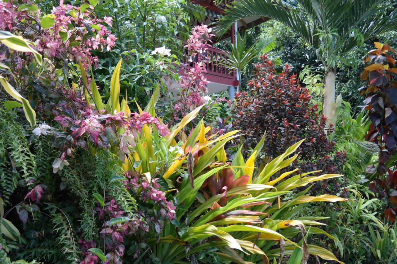 Muri Retreat Apartments Rarotonga Buitenkant foto