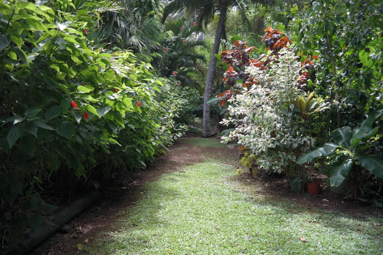 Muri Retreat Apartments Rarotonga Buitenkant foto